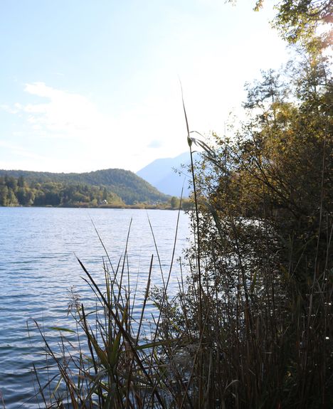 hotel-kaltern am see-panorama-4 Sterne