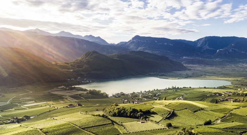 Kalterer See Kaltern Wein Frühling