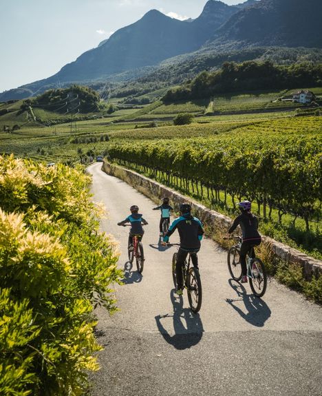 E-Bike MTB Kaltern Kalterer See Fahrrad